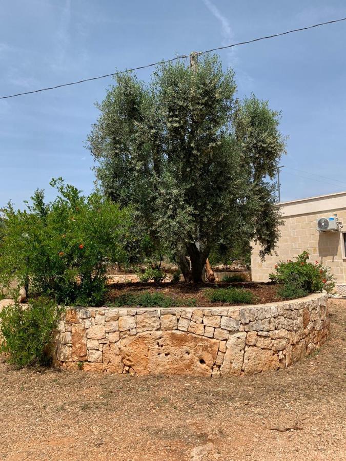 Vila Il Trullo Di Francesca Ceglie Messapica Exteriér fotografie