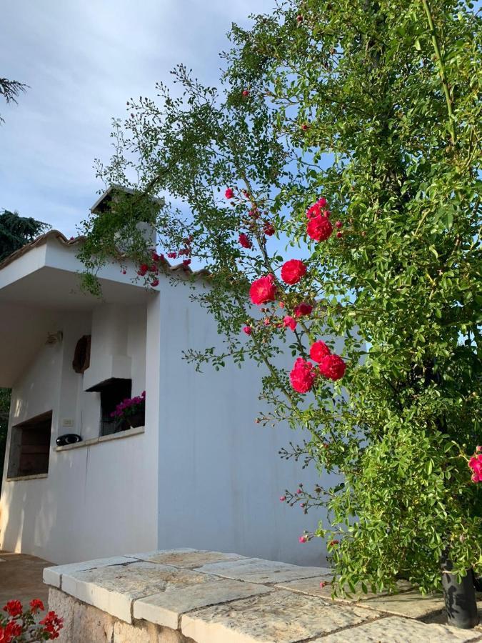 Vila Il Trullo Di Francesca Ceglie Messapica Exteriér fotografie